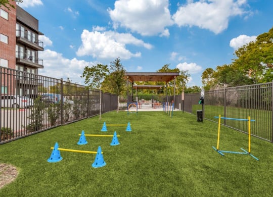 Lenox Cooper Apartments in Arlington, Texas Dog Park
