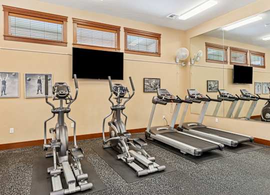 A gym with treadmills, elliptical machines, and a flat screen TV.