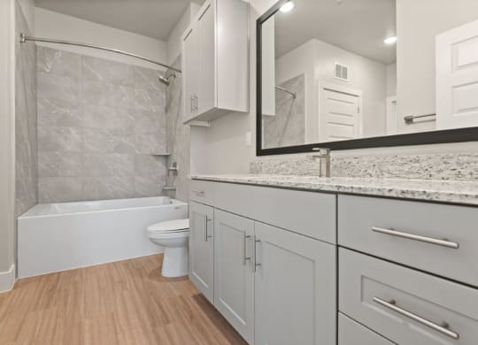 a bathroom with a sink and a toilet and a shower