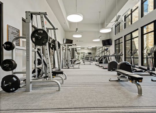 the gym has a large amount of weights machines and mirrors