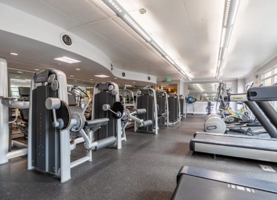The Mercer Fitness Center Treadmills and Machines