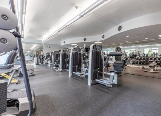 The Mercer Fitness Center with Machines and Weights