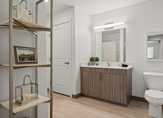 Mill Creek Apartments Model Bathroom