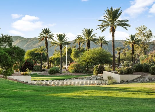 a view of a garden with palm trees and mountains in the background