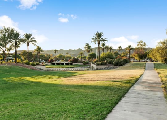 a path through a park with grass and palm trees
