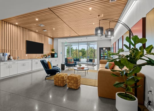a large living room with a large potted plant in the center of it