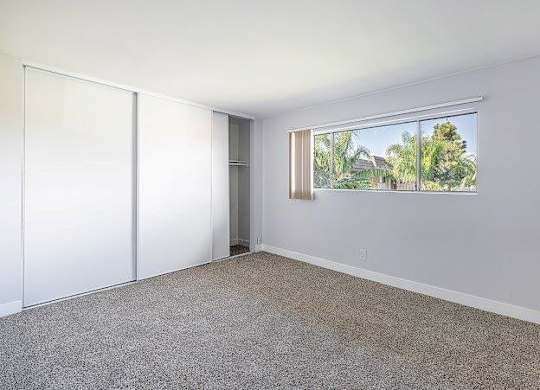 A room with a carpeted floor, a window, and a sliding door.