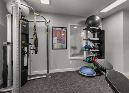 our gym is equipped with a variety of equipment for your use