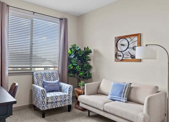A living room with a patterned armchair and a sofa with a blue pillow.
