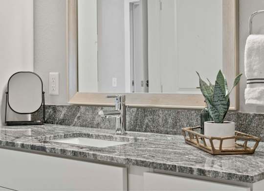 A bathroom counter with a marble top and a plant in a basket.