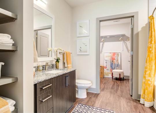 Skye Suwanee Town Center Apartments in Suwanee, Georgia Model Bathroom with Attached Closet