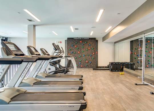 Skye Suwanee Town Center Apartments in Suwanee, Georgia Fitness Center