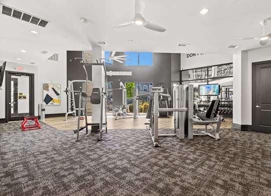 A gym with a variety of equipment including treadmills, weights, and a squat rack.