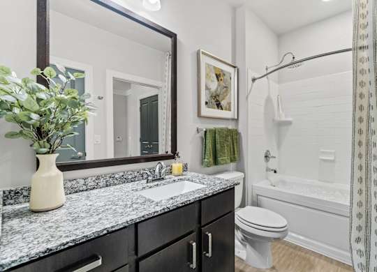 Axis at Watters Creek Apartments in Allen, Texas Model Bathroom