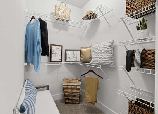 Axis at Watters Creek Apartments in Allen, Texas Walk-In Closet