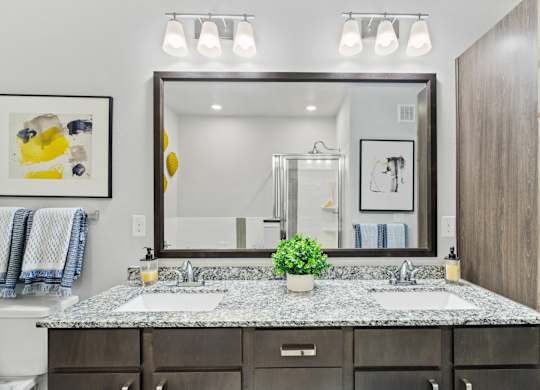 Axis at Watters Creek Apartments in Allen, Texas Model Bathroom