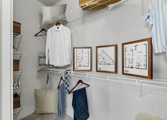 Axis at Watters Creek Apartments in Allen, Texas Walk-In Closet