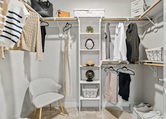 The Standard at Legacy Apartments in San Antonio, Texas Walk-In Closet