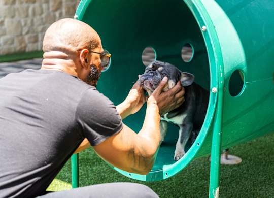 A man is petting a dog inside a green tunnel.