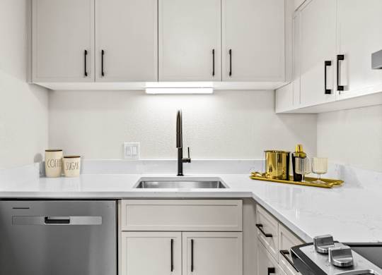 A modern kitchen with a stainless steel dishwasher and a sink.
