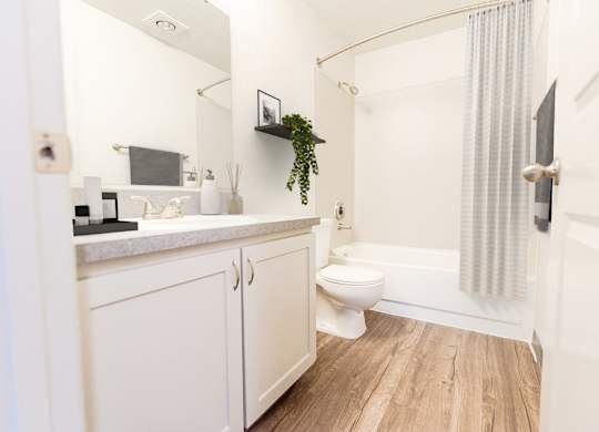 A white bathroom with a toilet, sink, and a plant.