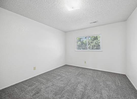 A room with a carpeted floor and a window showing trees outside.