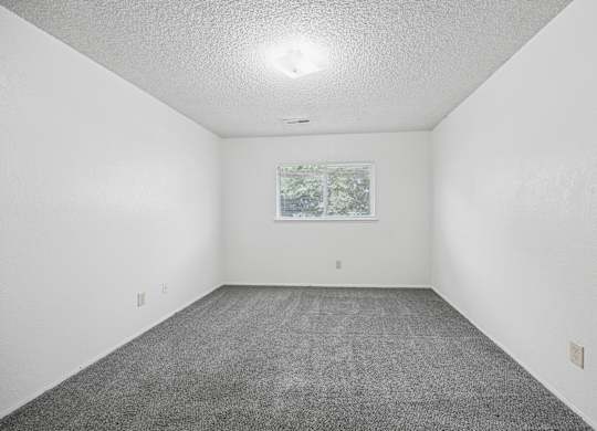A room with a grey carpet and a window showing trees outside.