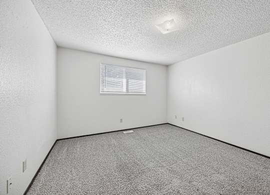 A white room with a grey carpet and a window.