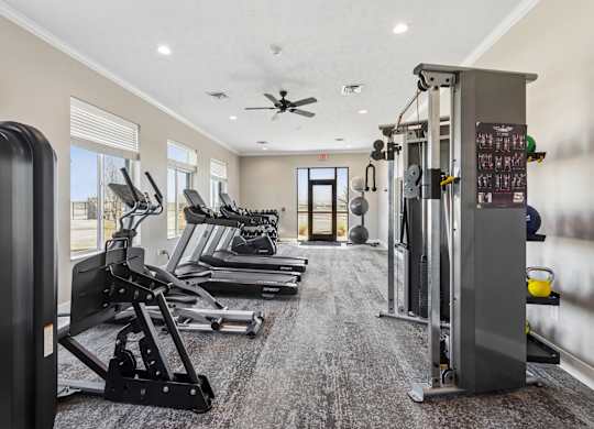 A gym with a variety of equipment including treadmills, weights, and a bench press.