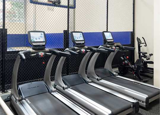 A gym with treadmills and a basketball hoop.