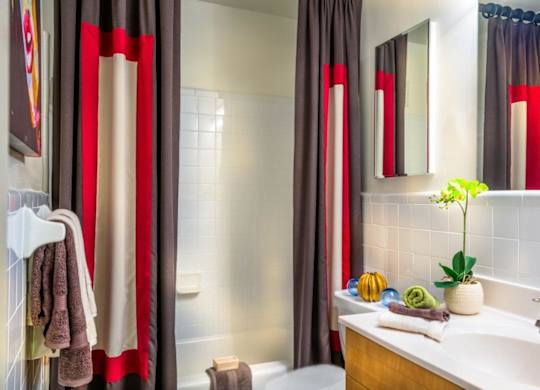 A bathroom with a white sink, a mirror, and a plant.
