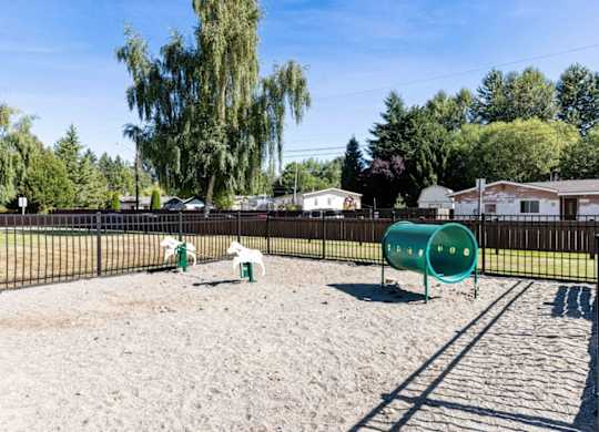 Dog Park at Saratoga, Washington, 98204