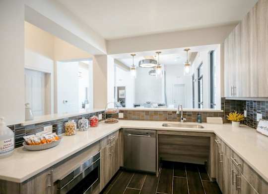 A modern kitchen with a dishwasher and a sink.