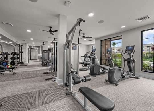 the gym is equipped with state of the art equipment including cardio machines and weights