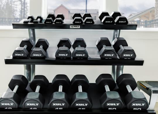 South Ridge Apartments Fitness Center with Dumbbells