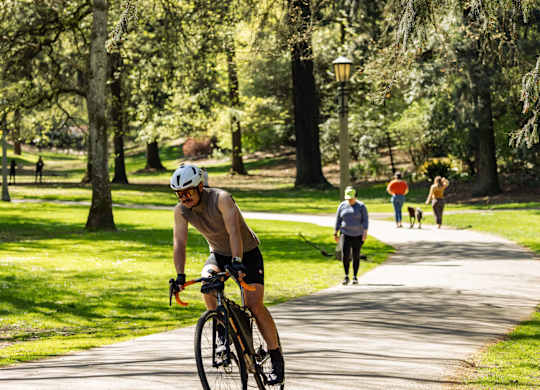 A man riding a bicycle on a path in a park.