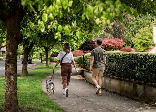 A man and a woman walking a dog on a sidewalk.