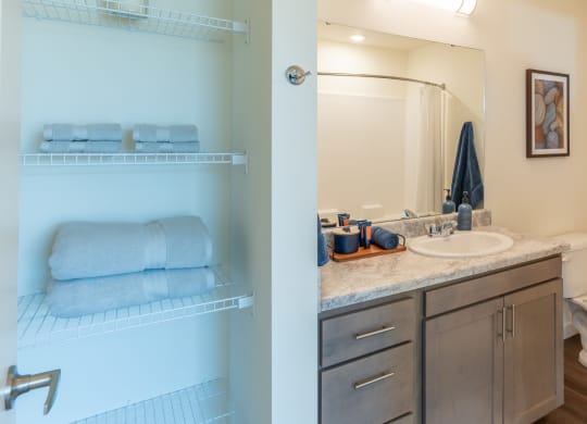 a bathroom with a sink and a mirror and a closet
