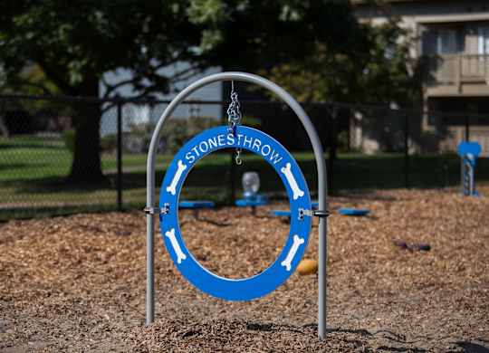 Stonesthrow Apartment Dog Park Toy