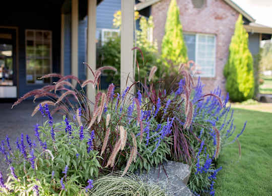 Stonesthrow Apartments Clubhouse Plants