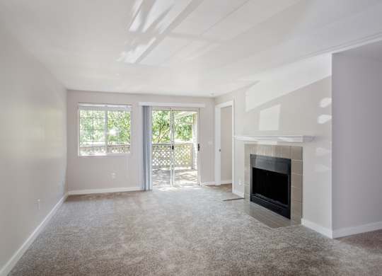 Stonesthrow Apartments Living Room Fireplace