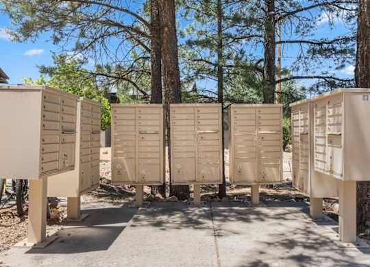 A row of portable toilets are lined up in the sun.