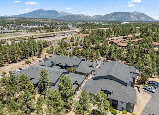 A bird's eye view of a residential area with houses and trees.