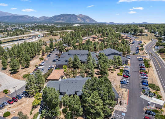 A bird's eye view of a residential area with houses, cars, and trees.