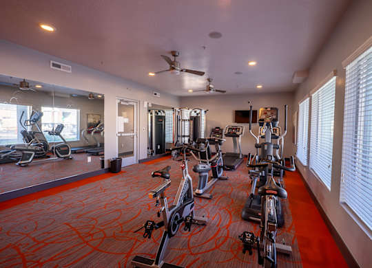 A gym with a row of stationary bikes.