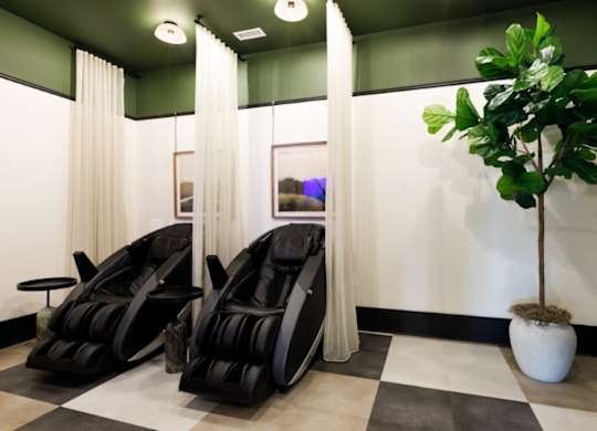 Two black massage chairs are in front of a green plant.