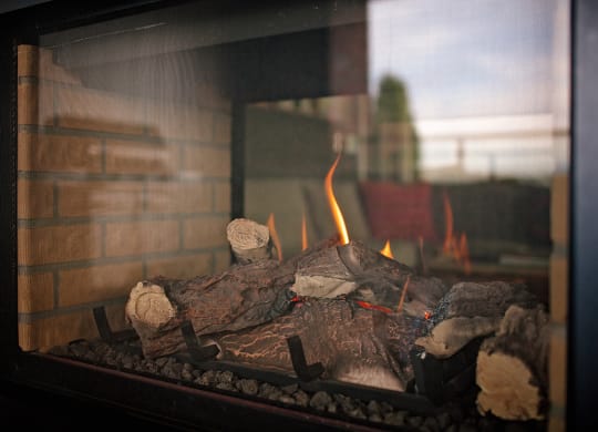 The Century Fireplace