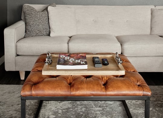 The Century Living Room Couch