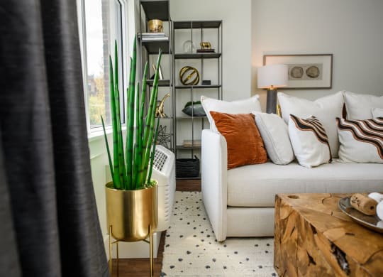 The George Besaw Apartments Model Couch and Window