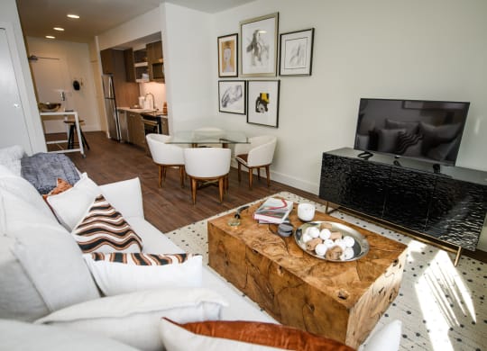 The George Besaw Apartments Model Living Room and TV